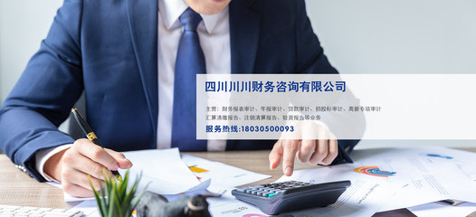 成功案例 財(cái)務(wù)咨詢?nèi)绾沃ζ髽I(yè)實(shí)現(xiàn)逆勢增長