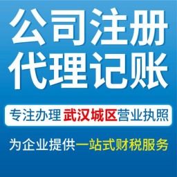 武漢青山代辦公司營業(yè)執(zhí)照、工商注冊與會計(jì)服務(wù)全攻略